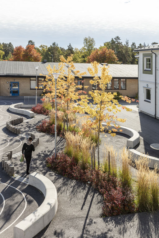Flera Outline-bänkar bildar en ringlande orm på en skolgård med gula träd