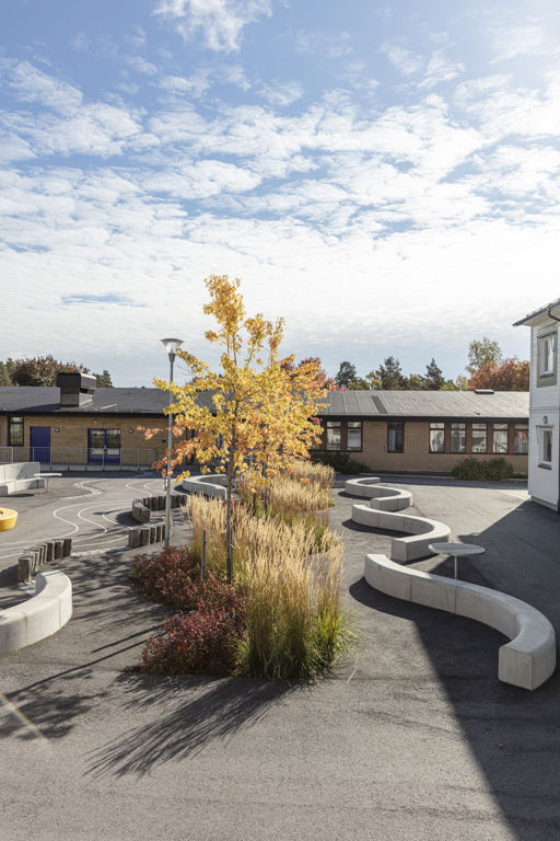Flera Outline-bänkar bildar en ringlande orm på en skolgård med gula träd