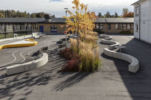 Flera Outline-bänkar bildar ringlande ormar på en skolgård med gula träd