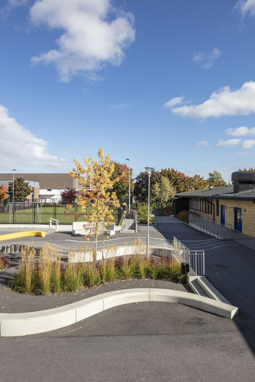 Flera Outline-bänkar bildar en ringlande orm på en skolgård med gula höstträd