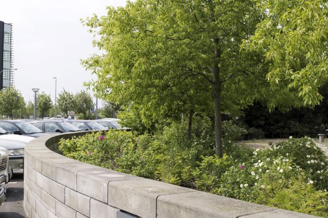 Miljöbild av murblocket Campus